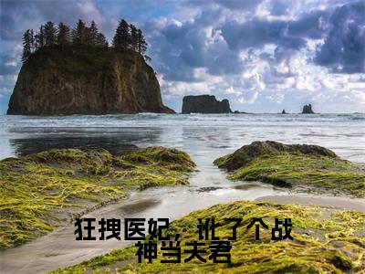 沈南星赫连君泽 狂拽医妃,讹了个战神当夫君小说全文免费阅读_沈南星赫连君泽 (狂拽医妃,讹了个战神当夫君)最新章节列表笔趣阁