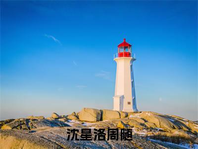周随沈星洛(沈星洛周随)完整版小说阅读_沈星洛周随周随沈星洛全文免费阅读(沈星洛周随)