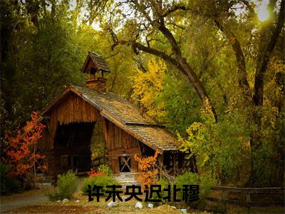 许未央迟北穆小说迟北穆许未央大结局阅读-新上热文小说许未央迟北穆(迟北穆许未央)讲的是什么