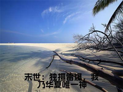 末世：独擅雷爆，我乃华夏唯一神（许墨)小说免费阅读在线阅读_末世：独擅雷爆，我乃华夏唯一神全文免费阅读_笔趣阁