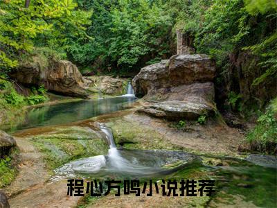 妻子的谎言：迟来的道歉不配说爱（ 程心方鸣）正版小说最新章节在线阅读-老书虫推荐妻子的谎言：迟来的道歉不配说爱小说