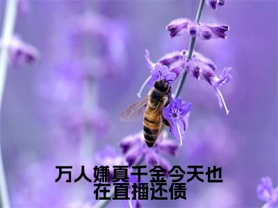 万人嫌真千金今天也在直播还债（顾向晚）全文免费阅读最新章节_万人嫌真千金今天也在直播还债大结局精彩阅读_笔趣阁（顾向晚）
