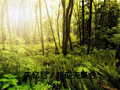 失忆后,跟前夫复合了小说全文免费阅读无弹窗大结局_(失忆后,跟前夫复合了)尹秋月孟嘉令最新章节列表笔趣阁(尹秋月孟嘉令)
