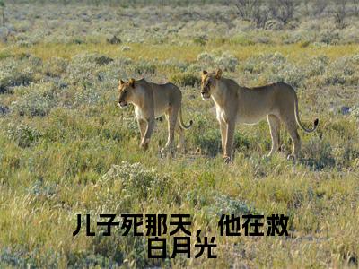 儿子死那天，他在救白月光（颜璐顾青裴）小说全文免费阅读无弹窗大结局_儿子死那天，他在救白月光最新章节列表笔趣阁