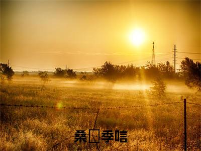 (桑慬季唁)在线阅读-主角是(季唁桑慬)的小说桑慬季唁全文赏析最新章节列表_笔趣阁
