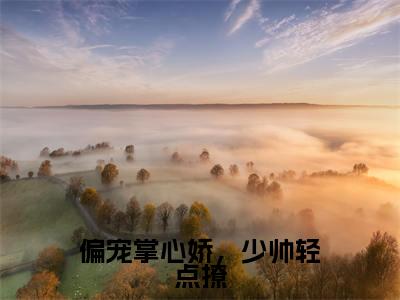 偏宠掌心娇,少帅轻点撩免费阅读全文免费阅读无弹窗大结局_ (江升姰暖小说免费阅读)偏宠掌心娇,少帅轻点撩最新章节阅读