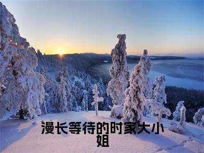 时研赵寒迟小说（漫长等待的时家大小姐）无弹窗大结局-漫长等待的时家大小姐（时研赵寒迟）完整版免费阅读