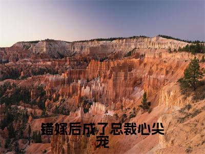 顾曦绾楚凌爵小说叫什么名字(错嫁后成了总裁心尖宠)完整版大结局-顾曦绾楚凌爵小说在线阅读