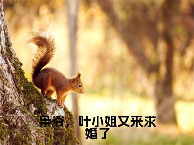秦枭叶星(枭爷,叶小姐又来求婚了)全文免费阅读无弹窗大结局_(秦枭叶星)枭爷,叶小姐又来求婚了小说在线阅读无删减