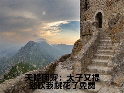 人气小说天降团宠：太子又提剑砍我桃花了在线阅读-正版小说《天降团宠：太子又提剑砍我桃花了》 蒋文康蒋靖安全文阅读
