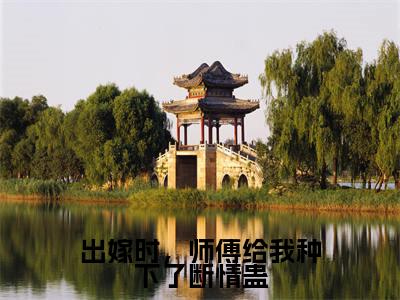 出嫁时,师傅给我种下了断情蛊全文免费阅读大结局-(谢北宸梦绾宁)最新章节列表在线阅读
