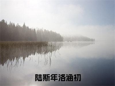 陆斯年洛涵初洛涵初陆斯年全文完整版-洛涵初陆斯年小说在线阅读