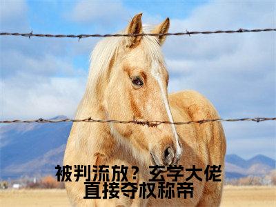 萧景衡谢绾宁免费阅读无弹窗大结局-被判流放？玄学大佬直接夺权称帝最新全章节全文阅读免费阅读-笔趣阁