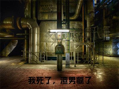 傅铭煜程西(傅铭煜程西)全文免费阅读_傅铭煜程西(我死了,渣男疯了)最新章节列表笔趣阁