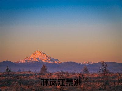 江景洲林岚(林岚江景洲全文免费阅读)_江景洲林岚小说最新章节免费阅读