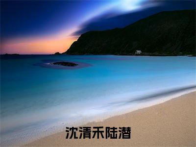 沈清禾陆潜小说全文免费阅读-陆潜沈清禾小说最新章节列表（沈清禾陆潜）