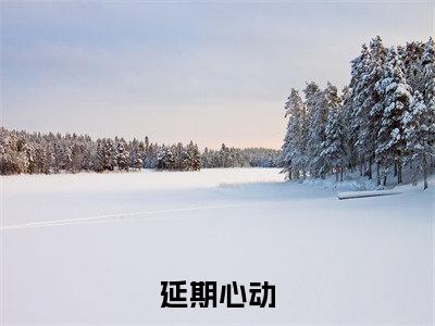 延期心动（周浔也温若凝）精彩热门小说-延期心动全章节免费阅读