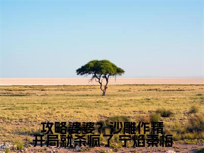 攻略婆婆？沙雕作精开局就杀疯了全文免费阅读无弹窗大结局_( 宁焰秦梅)攻略婆婆？沙雕作精开局就杀疯了全文免费无弹窗最新章节列表_笔趣阁