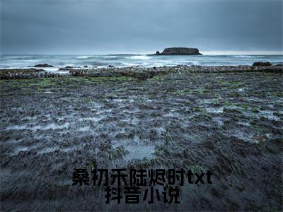 桑初禾陆烬时txt知乎小说全文免费阅读_（ 桑初禾陆烬）桑初禾陆烬时txt完结版在线阅读最新章节列表笔趣阁