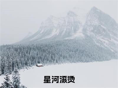 星河滚烫(尹晚沈清珂沈清铭最新章节)在线阅读-免费小说星河滚烫全文阅读