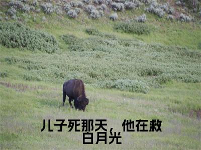 儿子死那天，他在救白月光（颜璐顾青裴）全文免费阅读无弹窗大结局_（颜璐顾青裴全文免费）儿子死那天，他在救白月光最新章节列表（颜璐顾青裴）