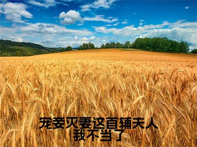 (热推新书)《宠妾灭妻这首辅夫人我不当了》全文免费阅读无弹窗大结局-苏青玉云奕霄无弹窗阅读
