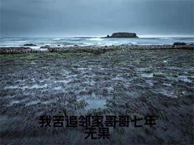 我苦追邻家哥哥七年无果在线阅读无弹窗_桑初禾陆烬时最新章节列表_笔趣阁