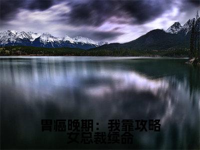 主角是 苏沐萧辰的小说叫什么名字 胃癌晚期：我靠攻略女总裁续命精彩结局阅读