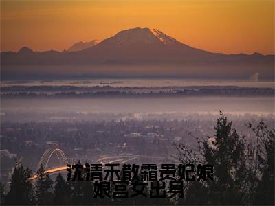 贵妃娘娘宫女出身，皇上偏宠着全文免费阅读大结局  沈清禾散霜最新章节列表