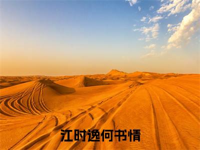 江时逸何书情小说（何书情江时逸）全文免费阅读无弹窗_江时逸何书情小说_笔趣阁
