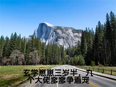 苏沫沫精彩小说(玄学崽崽三岁半,九个大佬爹爹争着宠)阅读大结局 玄学崽崽三岁半,九个大佬爹爹争着宠免费版小说更新阅读_笔趣阁