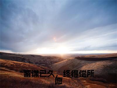 小说蓄谋已久,终得偿所愿无弹窗免费阅读-新上热文小说(靳尘顾笙)讲的是什么