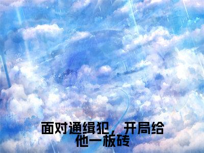 面对通缉犯,开局给他一板砖(苏墨)全文免费阅读无弹窗大结局_(面对通缉犯,开局给他一板砖)苏墨最新章节列表_笔趣阁(苏墨)