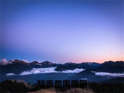 陆青茴周霆琛全网首发最新小说-周霆琛陆青茴全文在线免费阅读