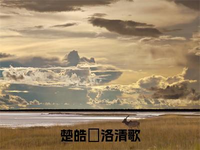 楚皓玹洛清歌（楚皓玹洛清歌）全文免费阅读无弹窗大结局_楚皓玹洛清歌小说最新章节列表_笔趣阁