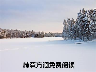 大鱼开局碾压，浮光嘎嘎乱杀林茕方洄 林茕方洄小说热门全集在线观看 大鱼开局碾压，浮光嘎嘎乱杀林茕方洄免费章节试读