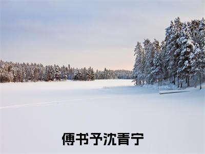 傅书予沈青宁(傅书予沈青宁)全文免费阅读无弹窗大结局_ 傅书予沈青宁最新章节列表_笔趣阁