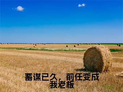 沈清溪江浔风(蓄谋已久,前任变成我老板)全文免费阅读无弹窗大结局_(沈清溪江浔风)蓄谋已久,前任变成我老板最新章节列表_笔趣阁(蓄谋已久,前任变成我老板)
