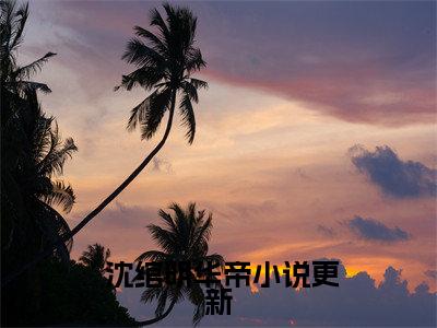 完整版娘娘争宠不走心，好孕上位赢麻了小说（ 沈绾明华帝）全文免费阅读无弹窗大结局_（完整版娘娘争宠不走心，好孕上位赢麻了） 沈绾明华帝小说免费阅读无弹窗最新章节列表_笔趣阁