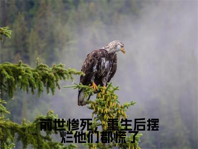 前世惨死,重生后摆烂他们都慌了(江禾)免费全文阅读小说_前世惨死,重生后摆烂他们都慌了最新章节列表-笔趣阁(江禾)