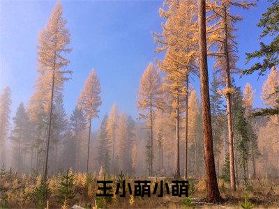 我在诸天世界收罗影视女主（ 王小萌小萌）全文免费阅读无弹窗大结局_我在诸天世界收罗影视女主最新章节列表
