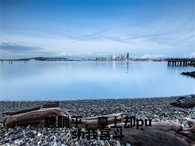 想躺平，皇上却push我宫斗（祁渊宋今安）完整版小说阅读_-想躺平，皇上却push我宫斗最新章节列表（祁渊宋今安）