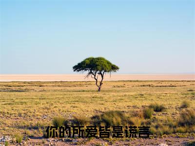 你的所爱皆是谎言(安愿燕方聿)小说免费下载全本-你的所爱皆是谎言（安愿燕方聿完整版）免费阅读（你的所爱皆是谎言）