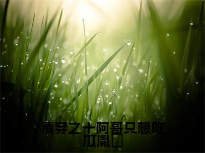 清穿之十阿哥只想吃瓜胤䄉(胤䄉赛罕)全文免费阅读无弹窗大结局_清穿之十阿哥只想吃瓜胤䄉免费阅读无弹窗最新章节列表_笔趣阁