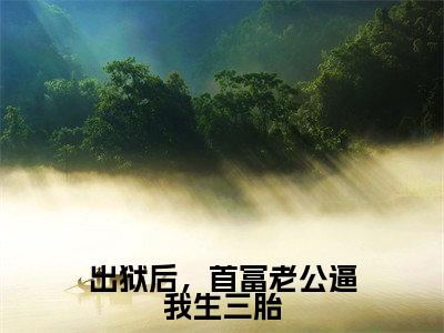 出狱后,首富老公逼我生三胎(宋欢傅辰年)全文免费阅读无弹窗大结局_出狱后,首富老公逼我生三胎免费阅读无弹窗最新章节列表_笔趣阁(宋欢傅辰年)
