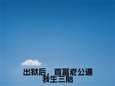 出狱后,首富老公逼我生三胎(宋欢傅辰年最新章节)在线阅读-免费小说出狱后,首富老公逼我生三胎全文阅读