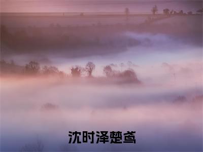 沈时泽楚鸢全文免费在线阅读大结局_(沈时泽楚鸢免费阅读无弹窗)沈时泽楚鸢全文免费完结版阅读(沈时泽楚鸢)