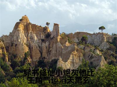 穿书修仙小炮灰他比主角气运滔天萧玄小说免费阅读萧玄小说全文免费阅读_（穿书修仙小炮灰他比主角气运滔天萧玄）萧玄最新章节列表笔趣阁