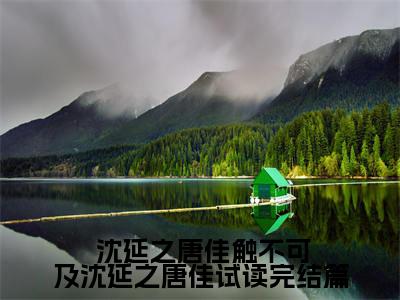 触不可及沈延之唐佳试读完结篇多人追热门小说  沈延之唐佳最新章节免费阅读