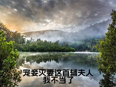 宠妾灭妻这首辅夫人我不当了新书热荐免费小说云奕霄苏青玉-小说云奕霄苏青玉大结局